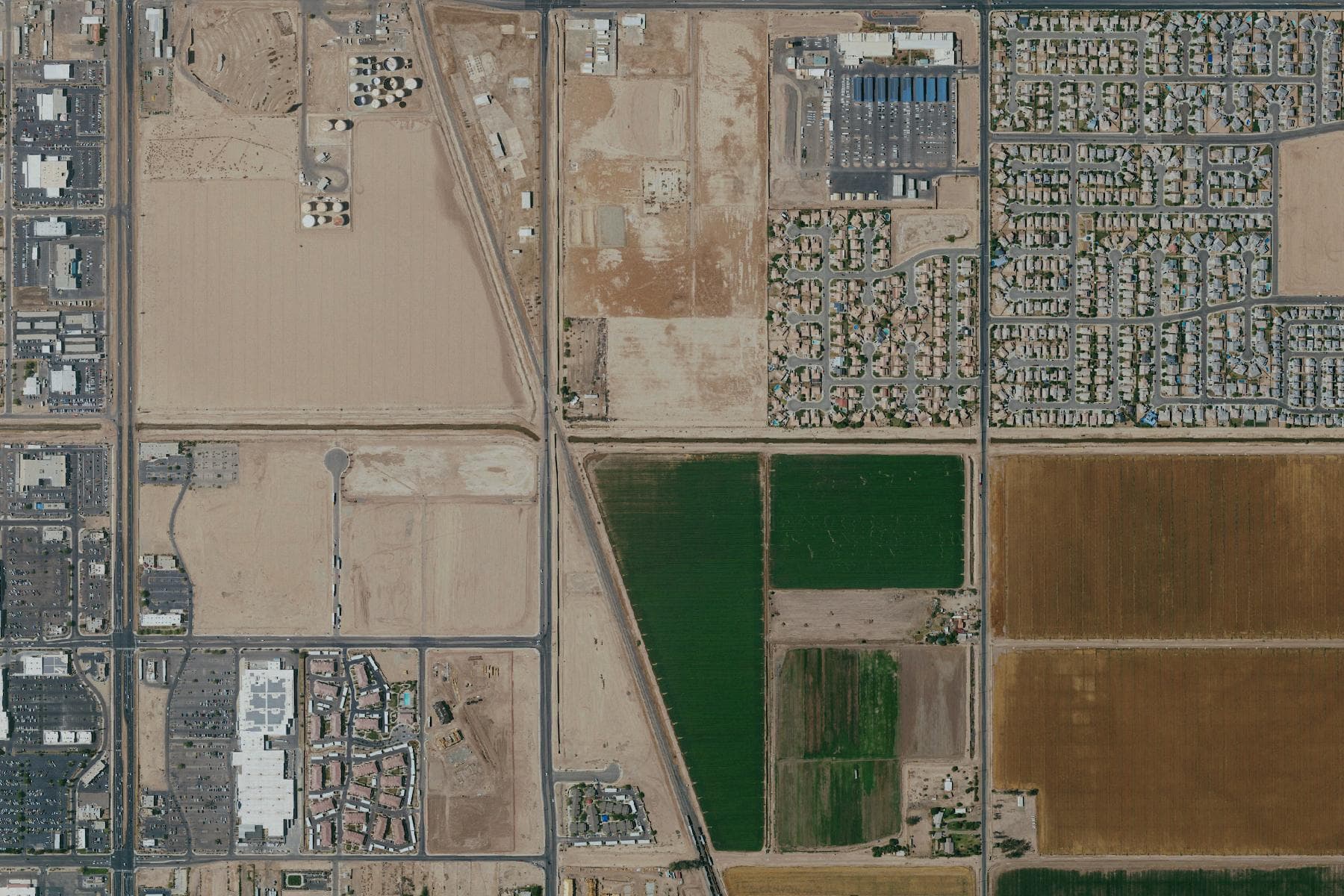 Overhead view of flat irrigated farmland laid out in large rectangular fields on a section-road grid, in shades of green and bare earth, with scattered farm buildings.