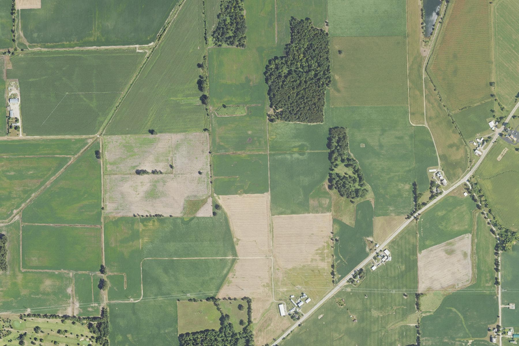 Overhead view of flat green and harvested farm fields divided by tree lines and a diagonal county road, with scattered farmsteads.